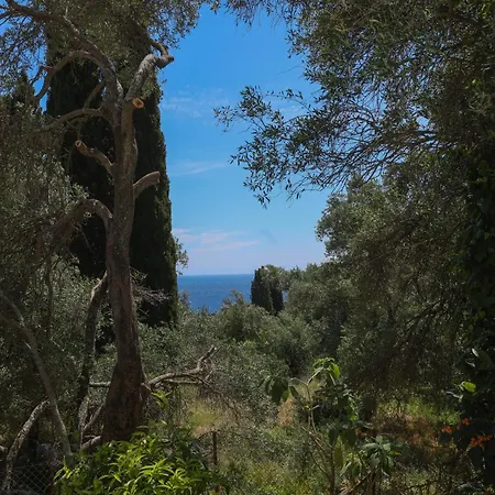 Terra